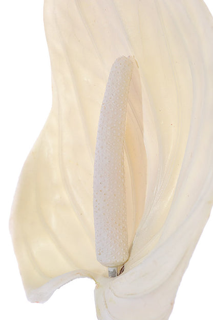 29" Faux Anthurium White