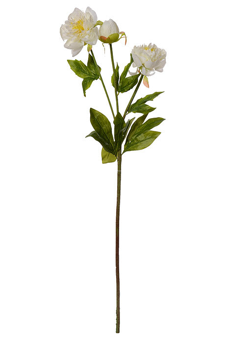 30.5" Silk Peony Spray White