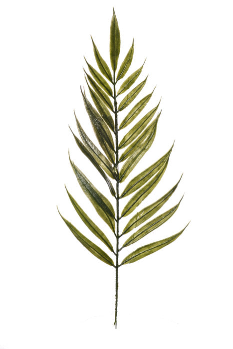 13" Emerald Fern Green Pkg/144