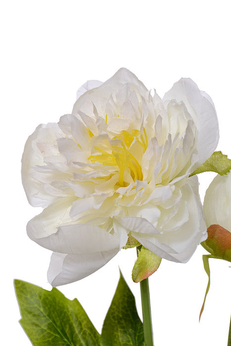 30.5" Silk Peony Spray White