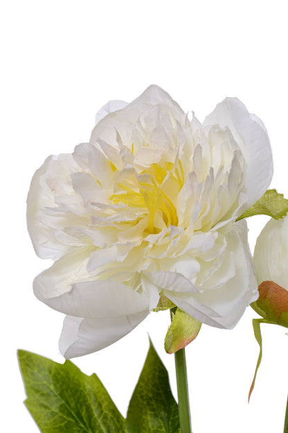30.5" Silk Peony Spray White