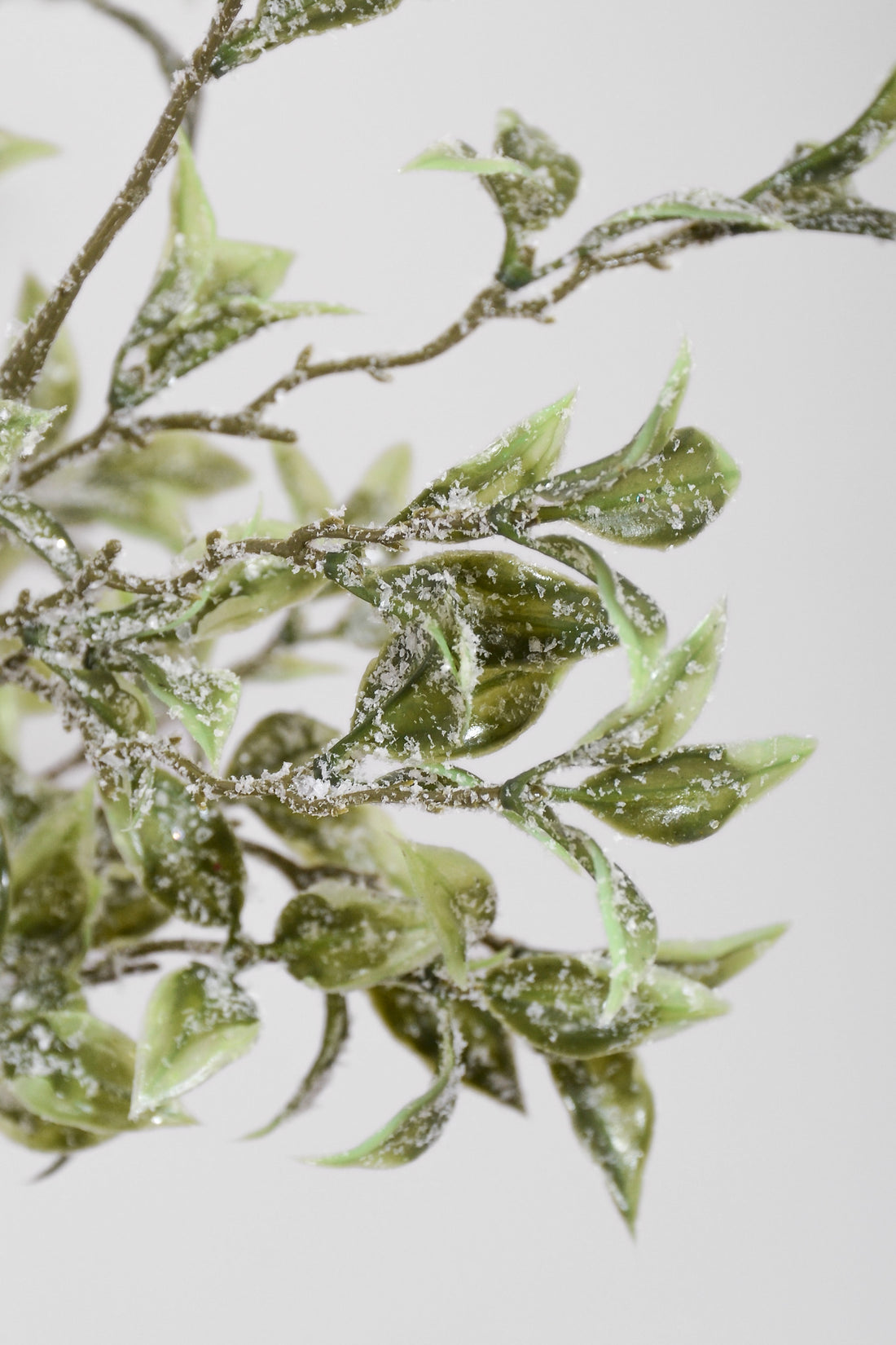 21" Tea Leaf W/Iced Bush Green