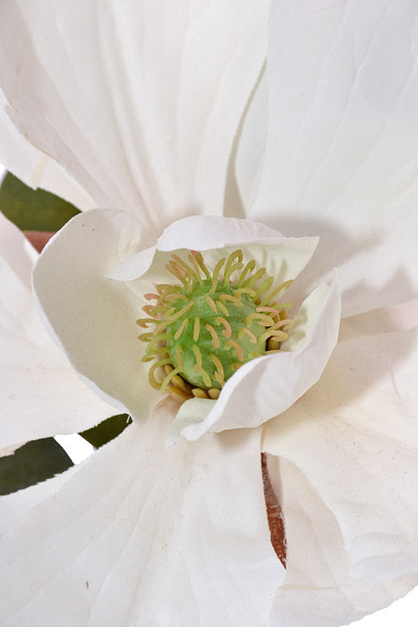 23" Silk Magnolia Spray White