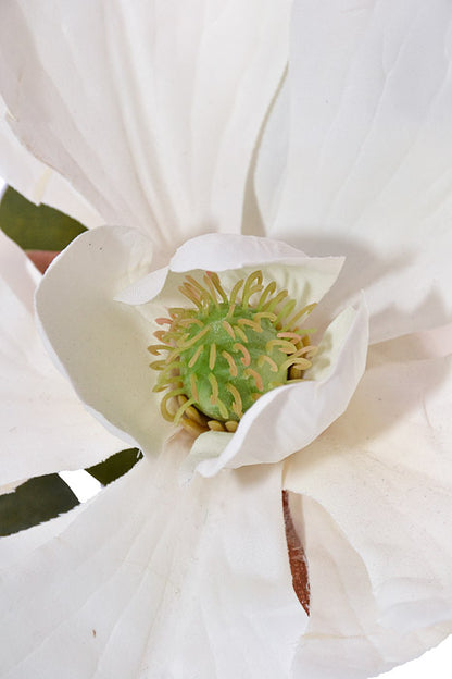23" Silk Magnolia Spray White