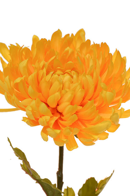 33" Silk Large Mum Spray Yellow/Gold