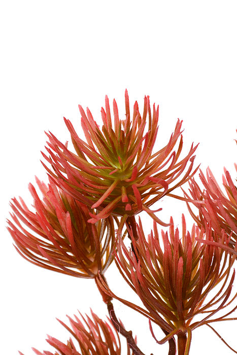 37" Thistle Spray Pink