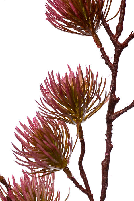 37" Thistle Spray Beauty