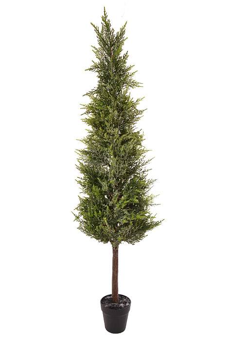 53" Potted Frost Spruce Tree Frosted/Green