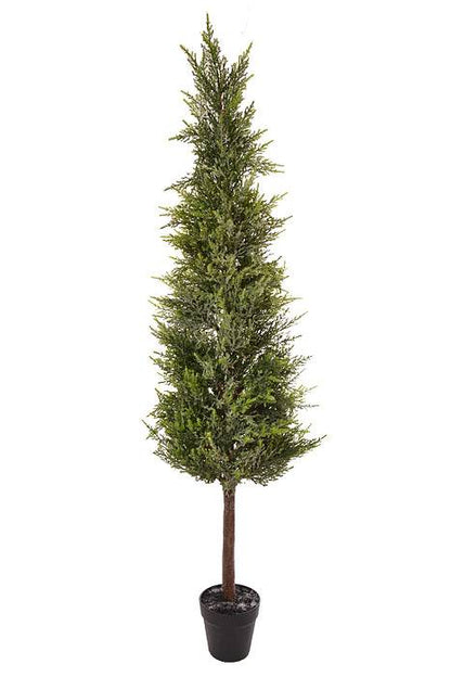 53" Potted Frost Spruce Tree Frosted/Green