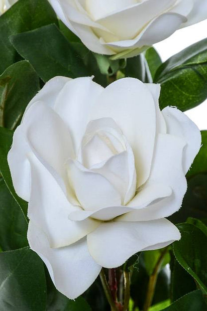 17" Silk Gardenia Bush Cream/white