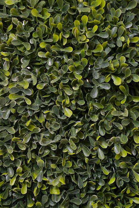 31" Boxwood Ball Topiary