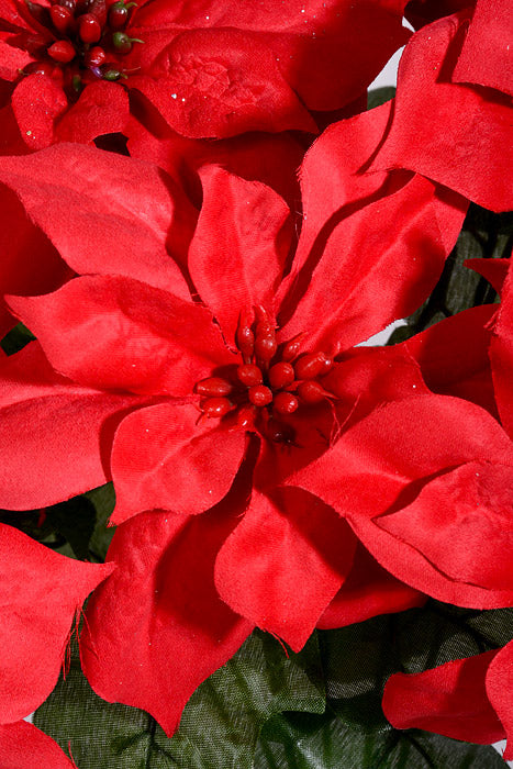 17" Poinsettia Bush Red