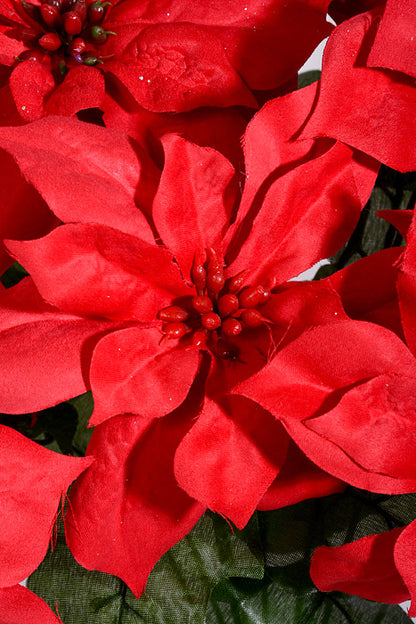 17" Poinsettia Bush Red