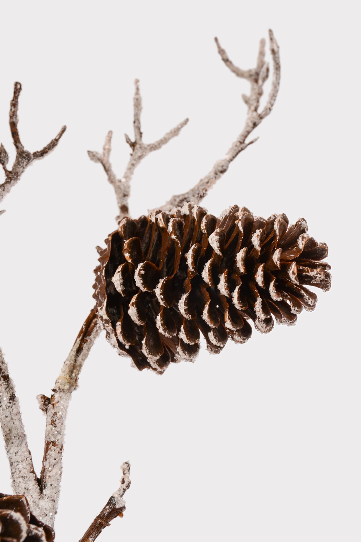 43.5" Snowed Plastic Pinecone Branch Brown/White
