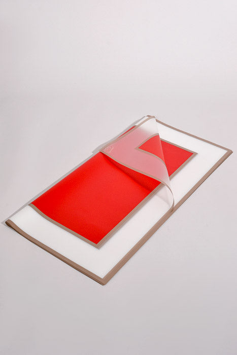 22.5" Gold Edge Flower Wrap Paper Red/Clear Pkg/20