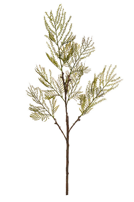 39.25" Acacia Spray Green