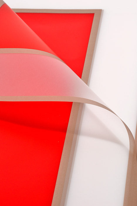 22.5" Gold Edge Flower Wrap Paper Red/Clear Pkg/20