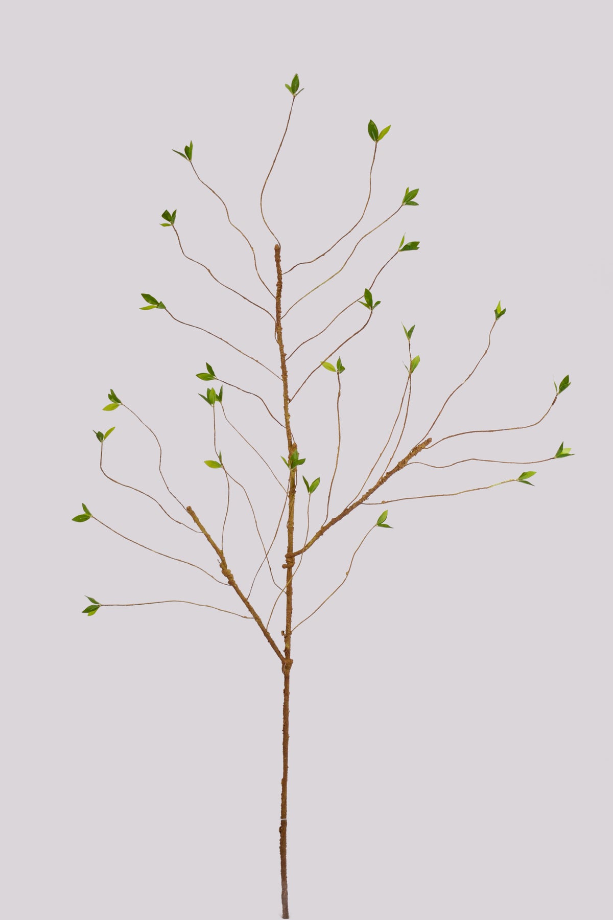 61" Artificial Branch W/Leaves Natural
