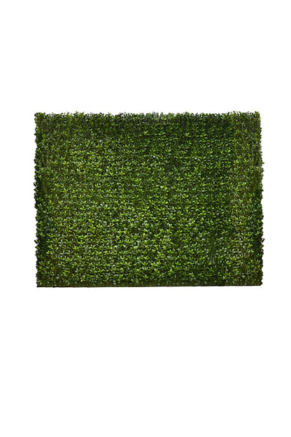 33" X 8" X 39" Boxwood Hedge Two Tones Green
