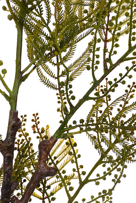 39.25" Acacia Spray Green