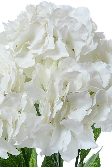 21.5" Silk Hydrangea Bush Ivory