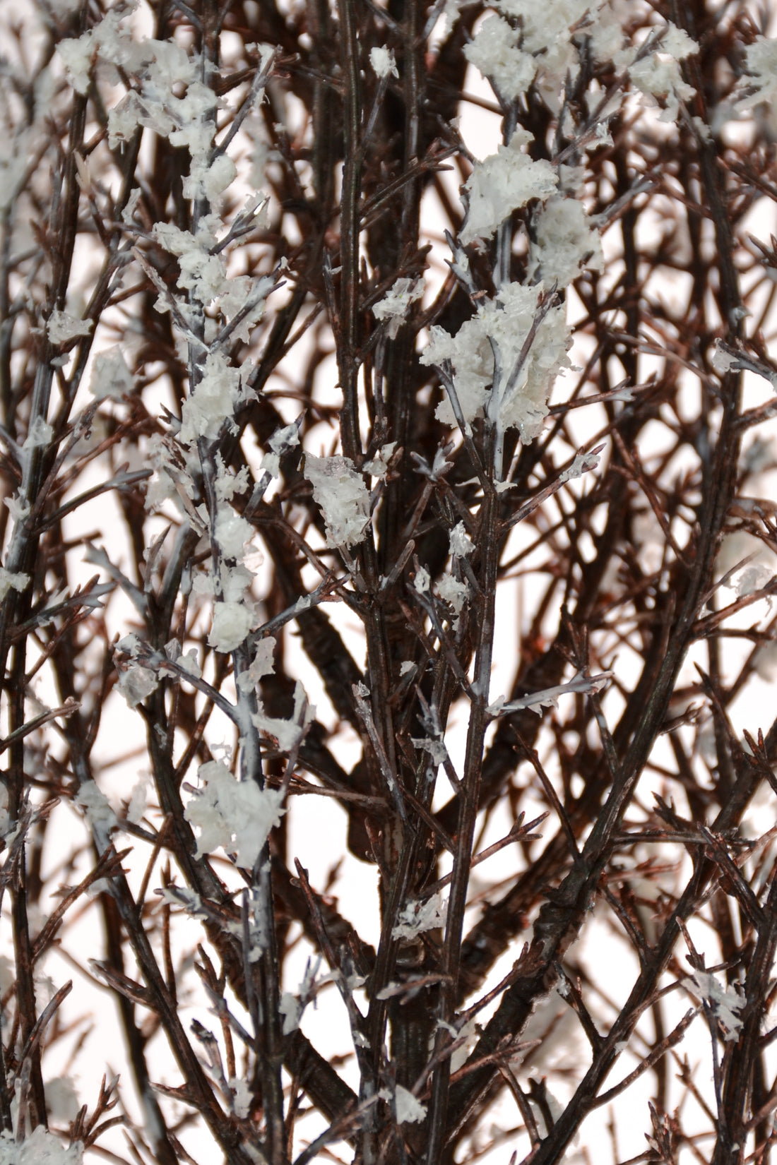 38" Snowed Twig Spray Brown/Snow