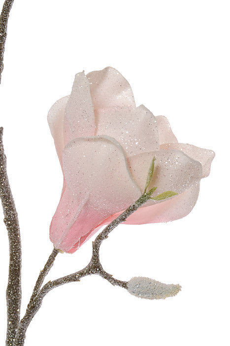 32" Frosted Magnolia Spray Blush