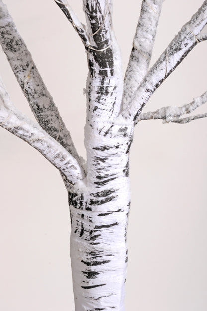 4Ft Birch Tree W/Light White