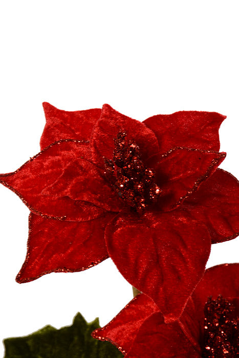 23" Velvet Poinsettia Spray Red