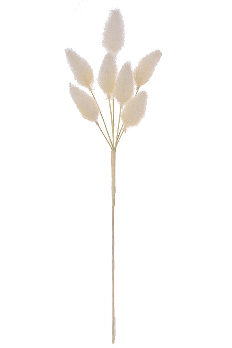 27" Foxtail Spray Cream