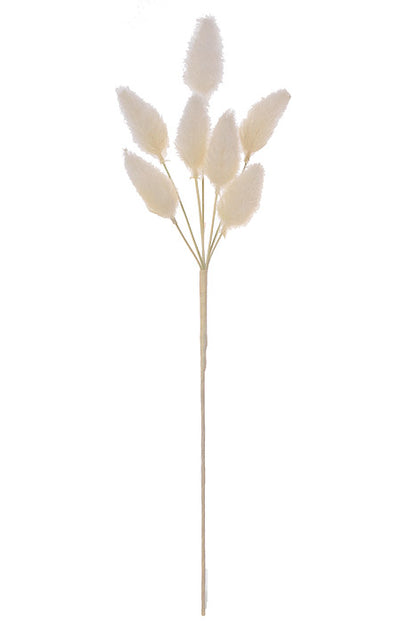 27" Foxtail Spray Cream