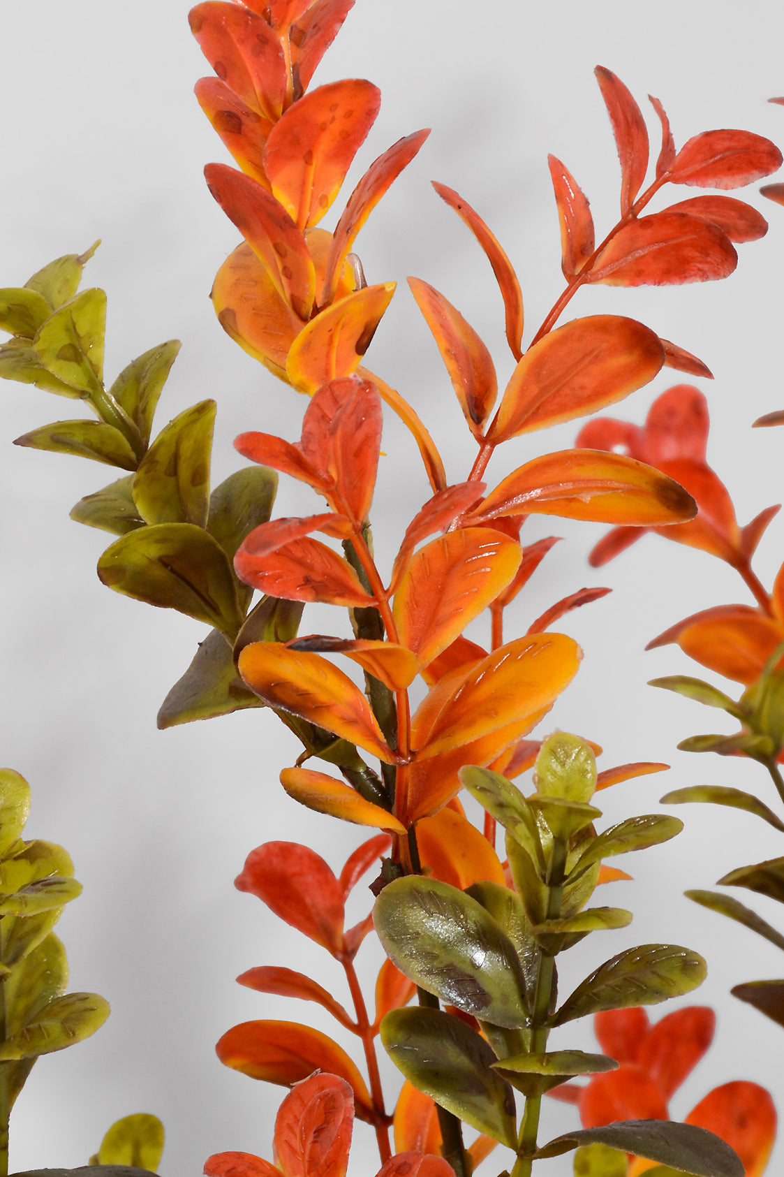 19" Artificial Boxwood Bush Green/Orange