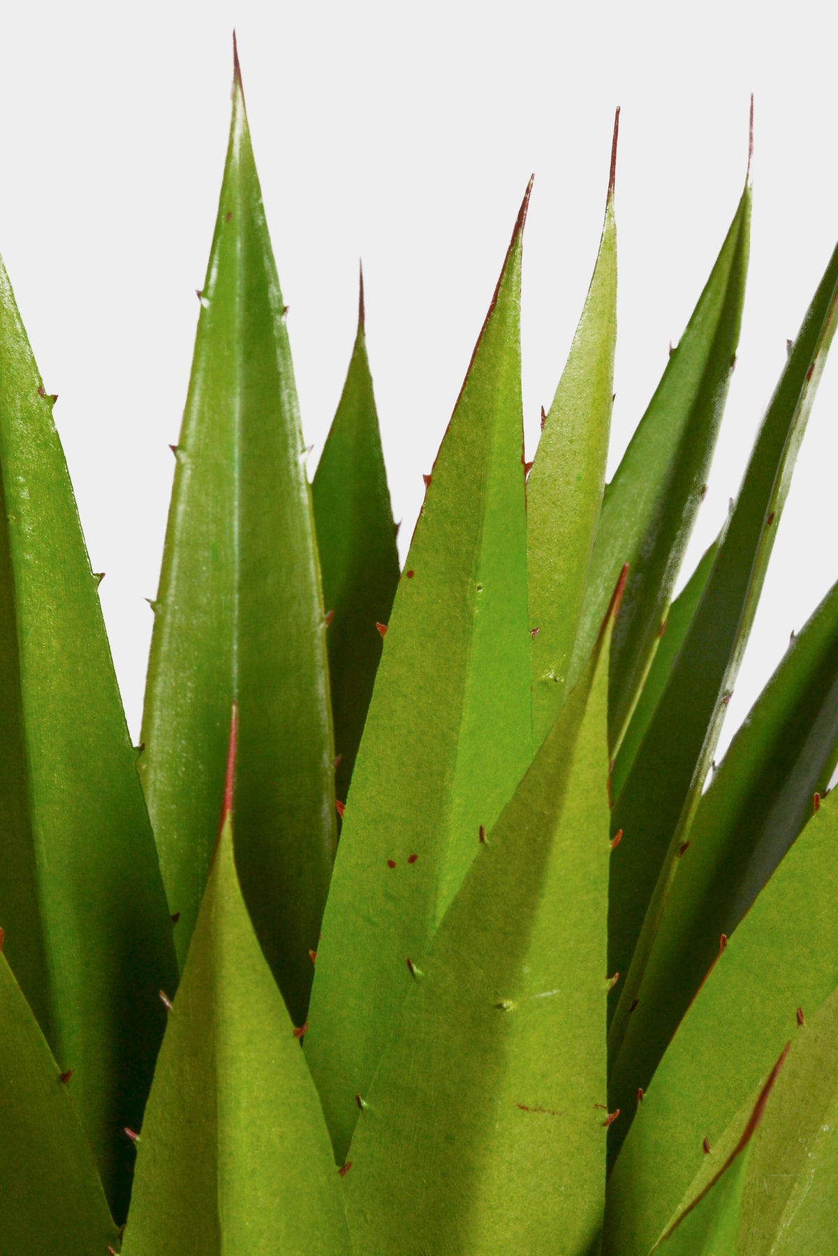 22" Artificial Agave Plant Green