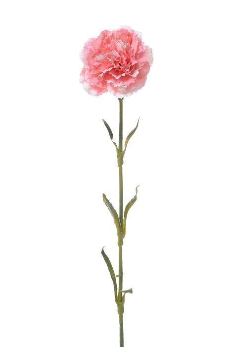 21.5" Silk Carnation Spray Coral