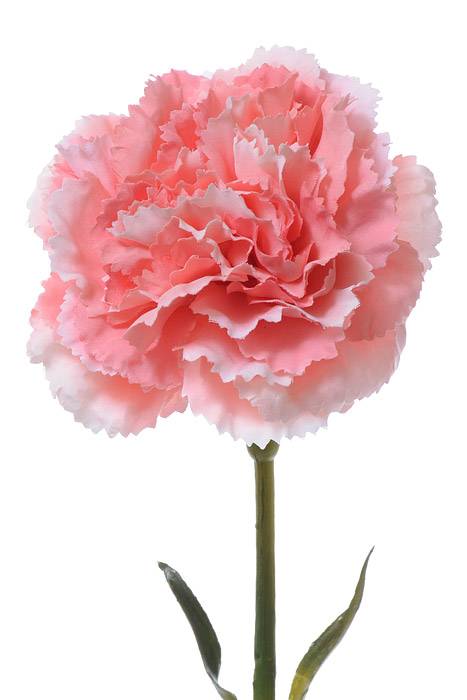 21.5" Silk Carnation Spray Coral