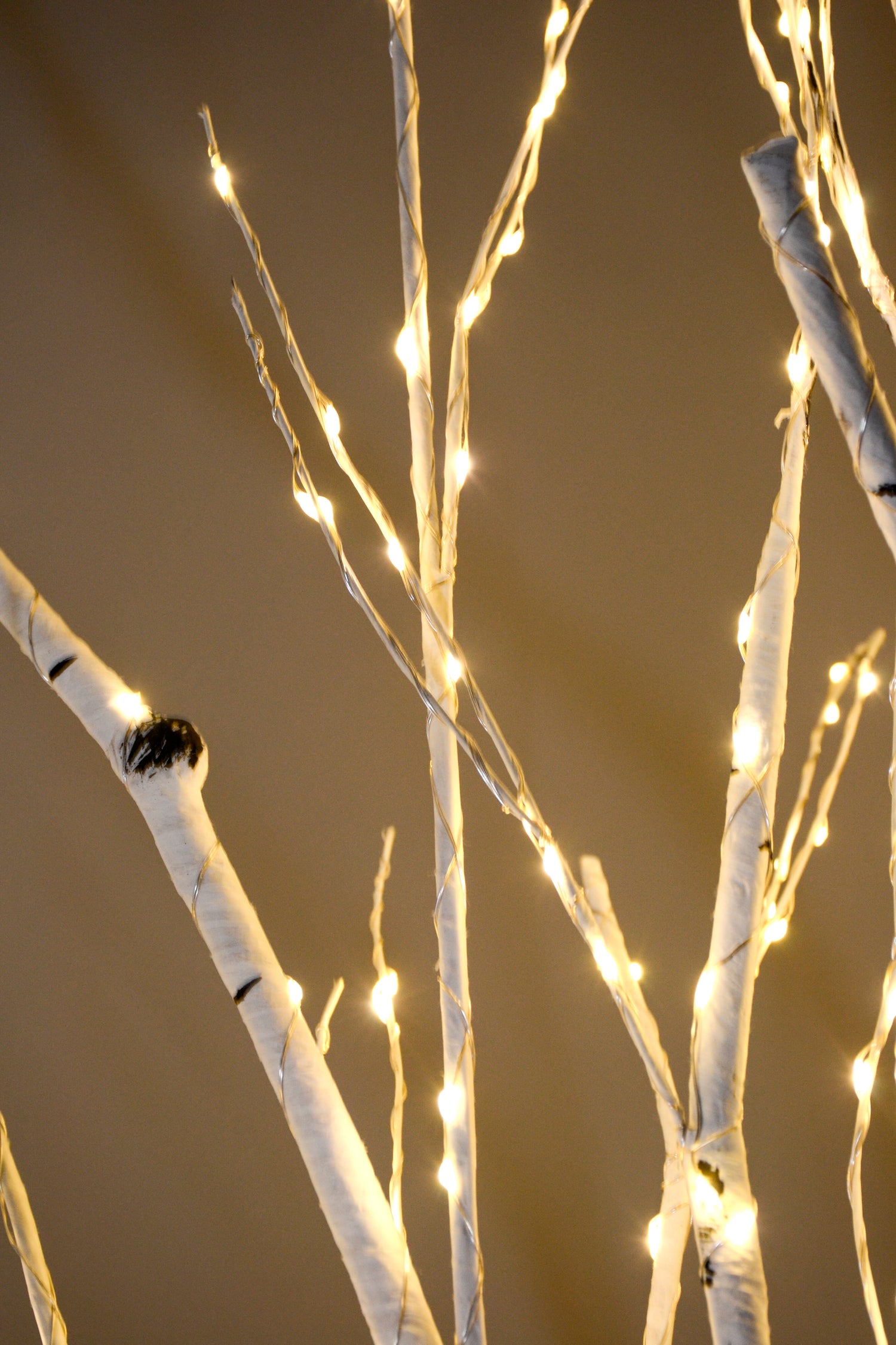 5Ft Birch Tree W/Light White