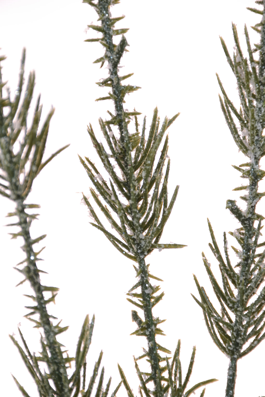 29.75" Glittered Pine Spray Green/Silver