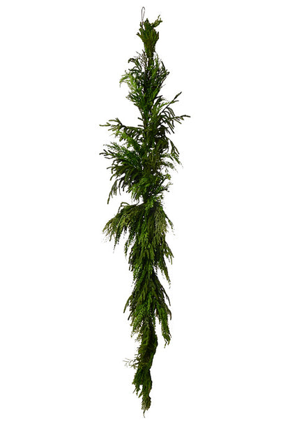 72" Luxury Cyprus Norfolk Pine Swag Natural Green