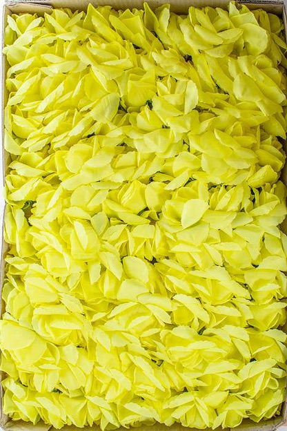 7&quot; Rose Pick Yellow Pkg/100