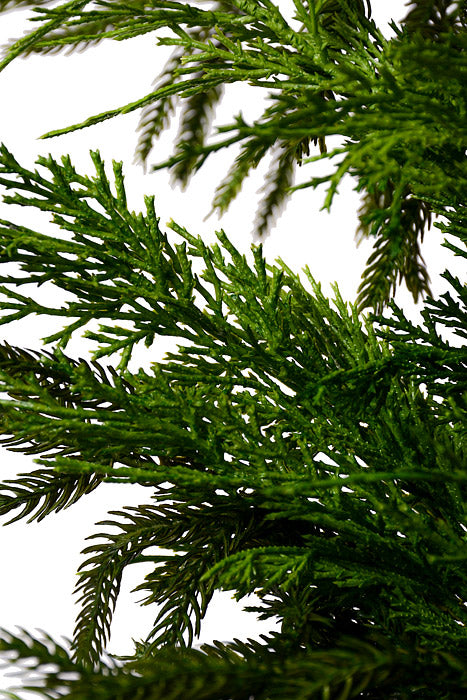 72" Luxury Cyprus Norfolk Pine Swag Natural Green