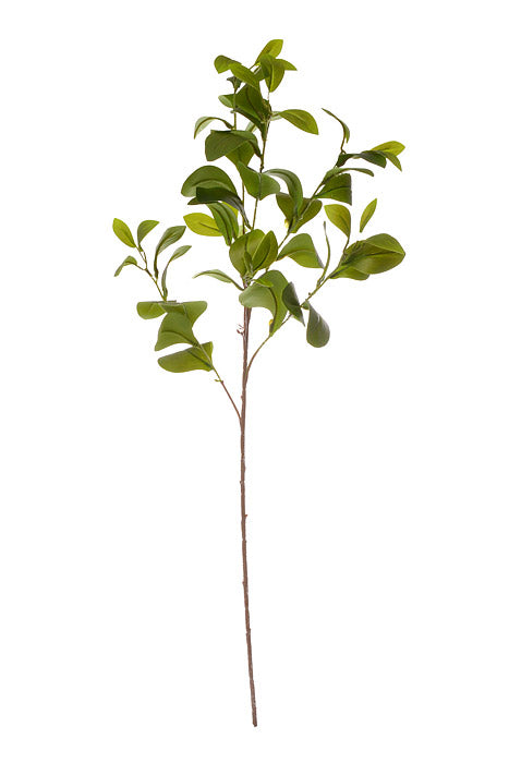 35" Laurel Leaf Spray Green