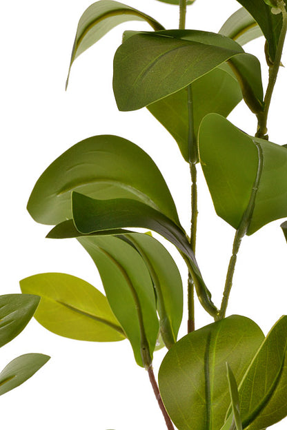 35" Laurel Leaf Spray Green