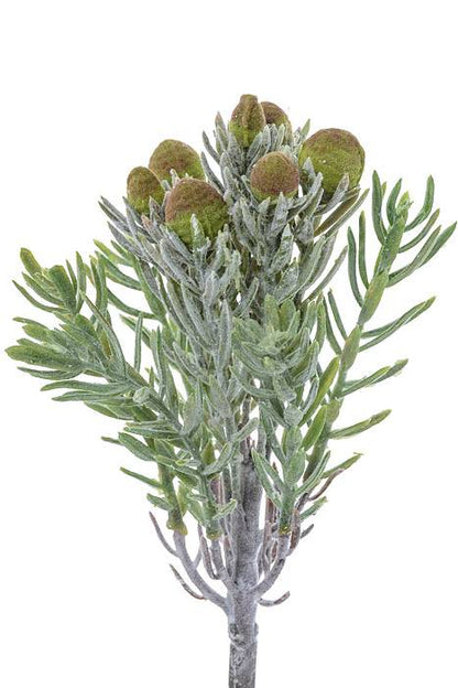 7" Succulent Pick Green/frost