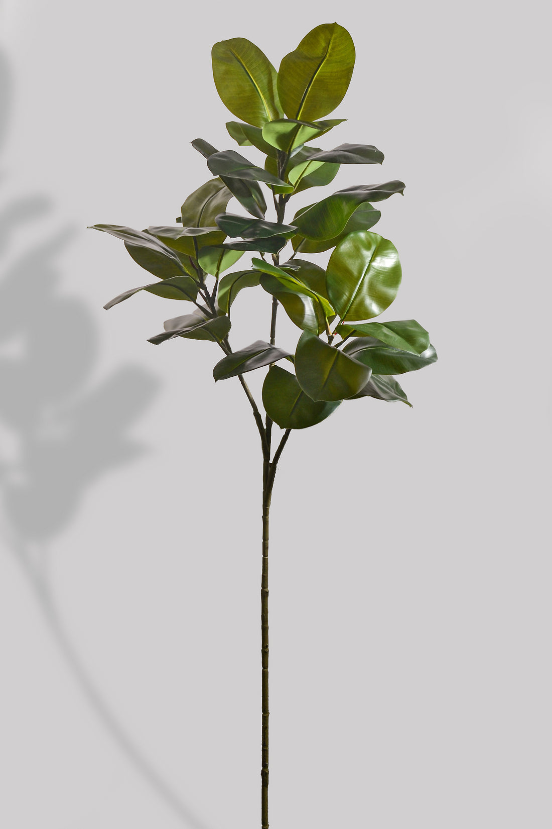 57" Magnolia Leaf Spray Green