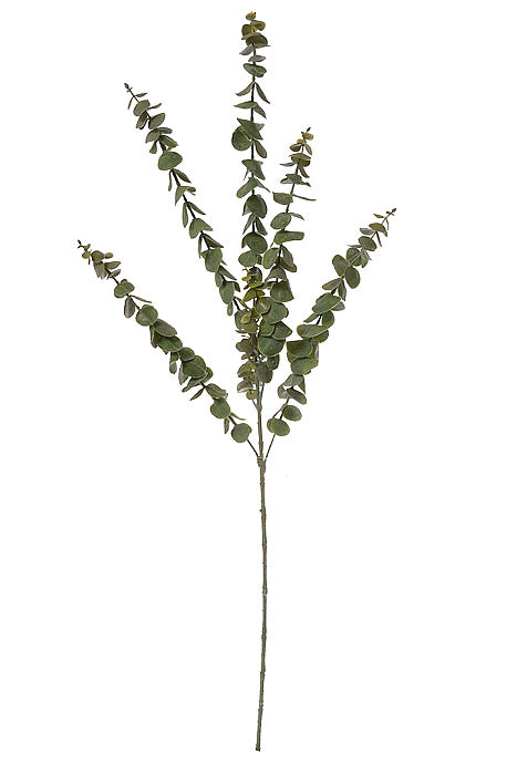 34" Eucalyptus Spray Green
