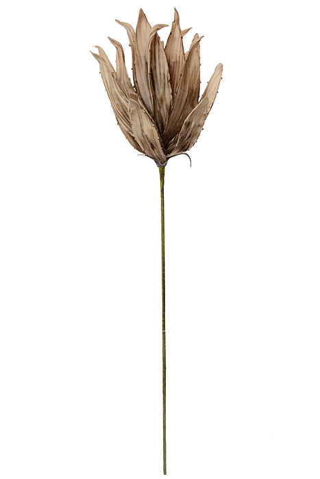 41" Yucca Stem Brown