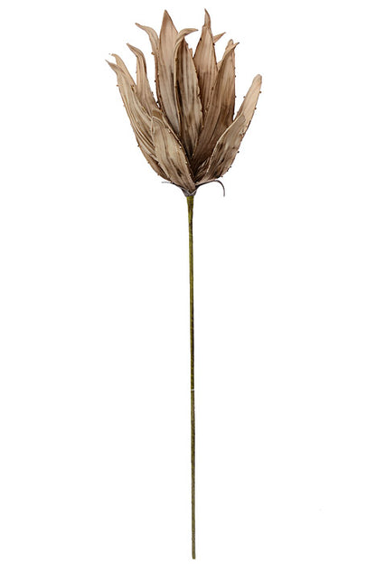 41" Yucca Stem Brown