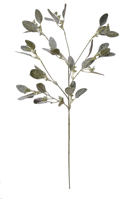32" Eucalyptus Spray With Seed Sage