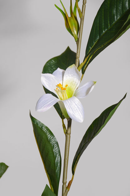 57" Artificial Jasmine Leaf W/ Flower Spray Green/White