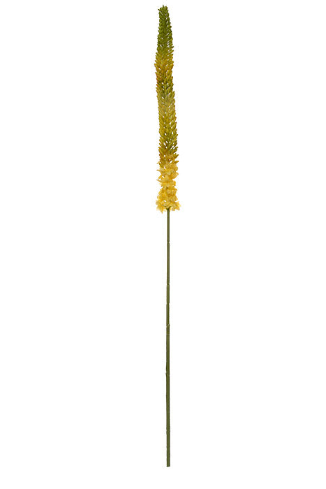 44" Foxtail Lily Spray Yellow/Green